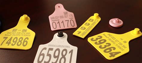 where to buy rfid tags for cattle|rfid tags for livestock.